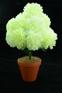 Ivory with a Slight Green Tint Carnation-Mum Bush x12  (Lot of 1) SALE ITEM